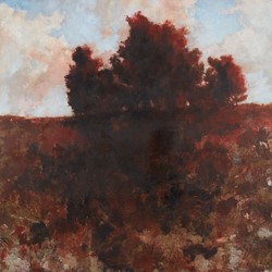 Merrick Belyea, Tree on a Hill, Nanga Brook Road, 2019, oil on board, 122 x 122cm