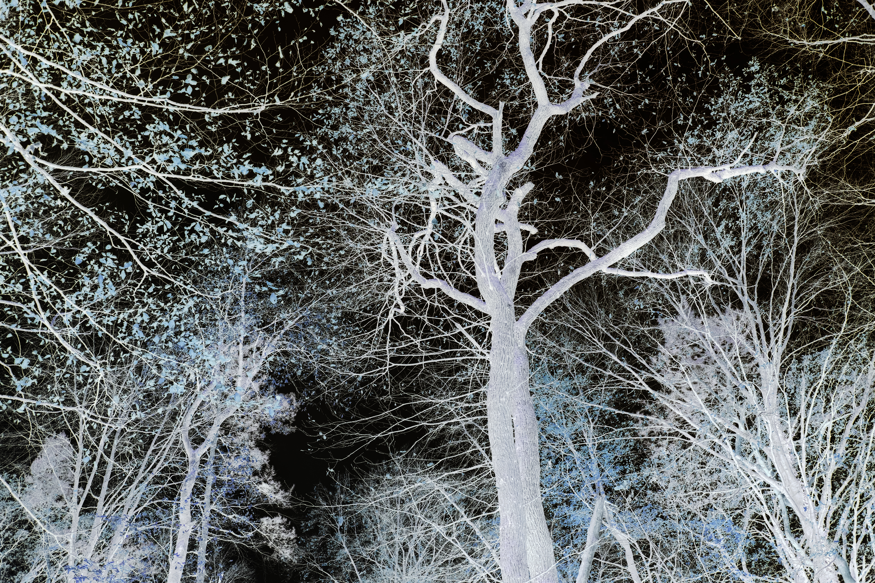 Brad Rimmer, Nocturne 1, 2017-2020, digital archival print, 50 x 75cm, ed. 3