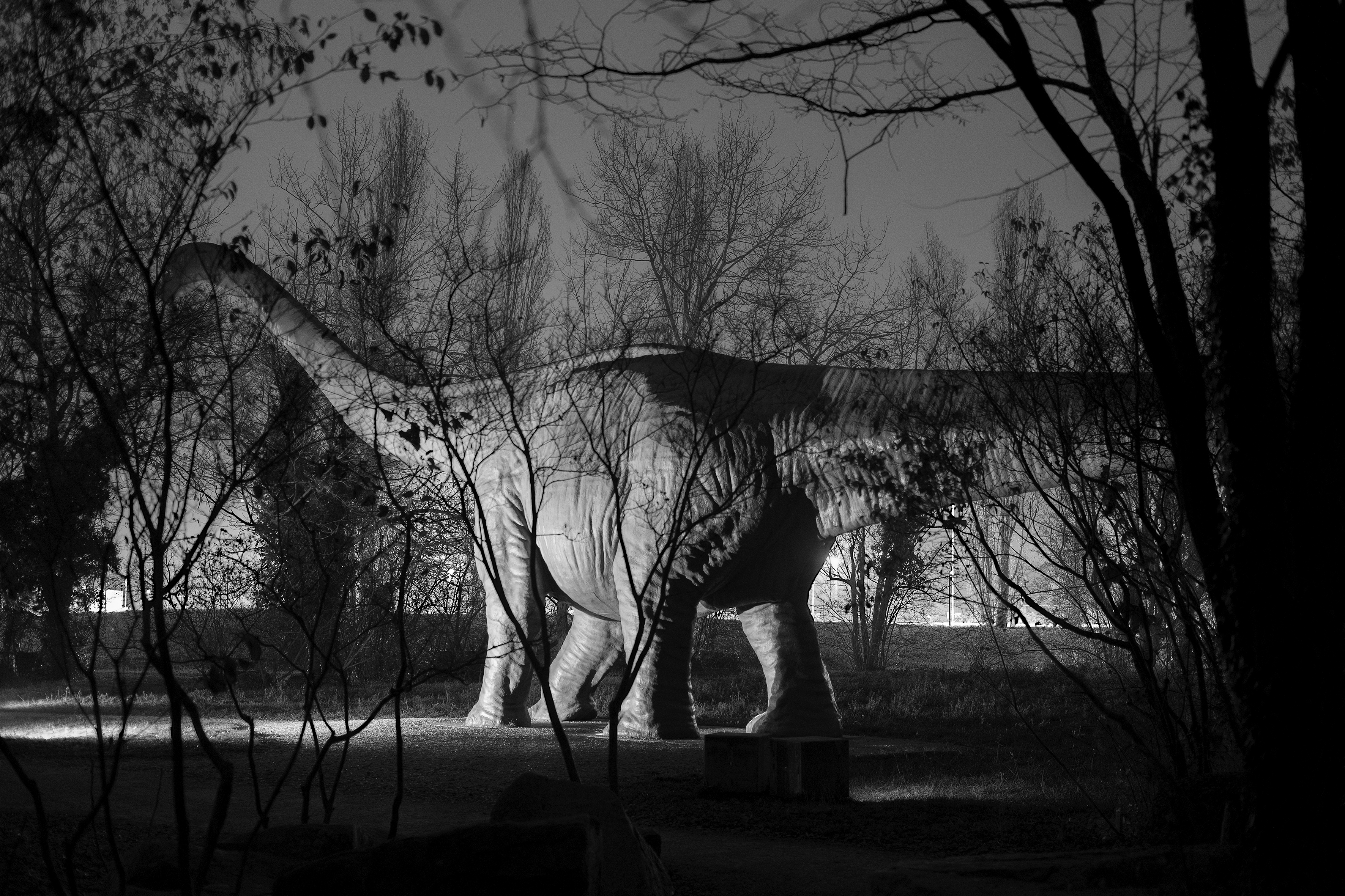 Brad Rimmer, Nocturne 34, 2017-2020, archival digital print, 40 x 60cm, ed. 3