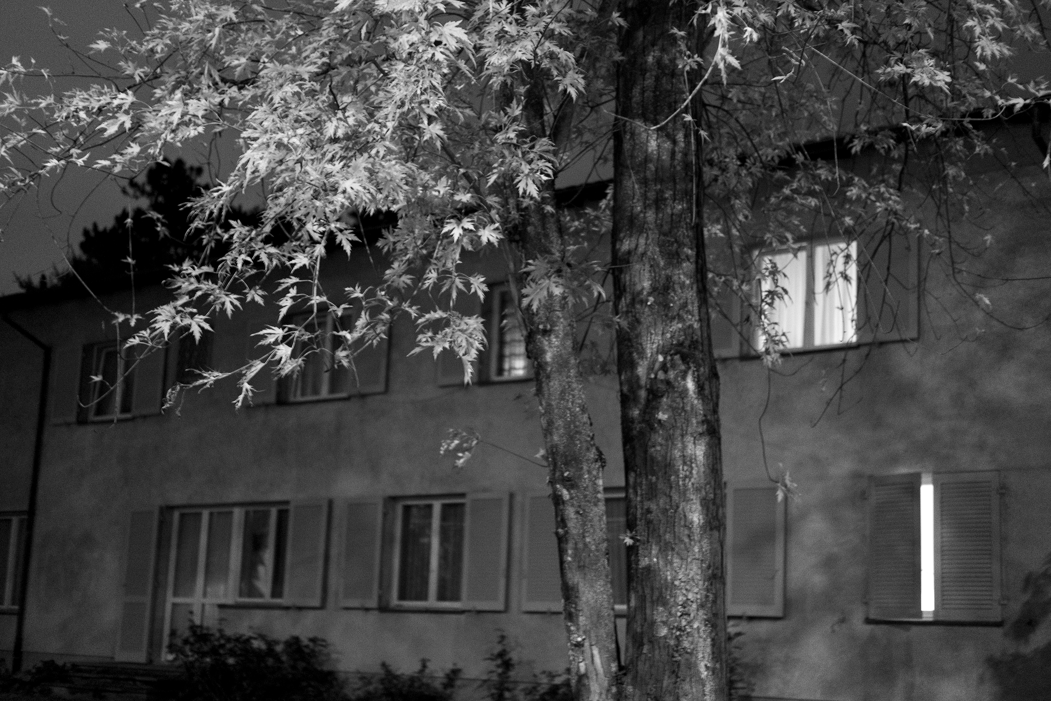 Brad Rimmer, Nocturne 68, 2017-2020, archival digital print, 50 x 75cm, ed. 3