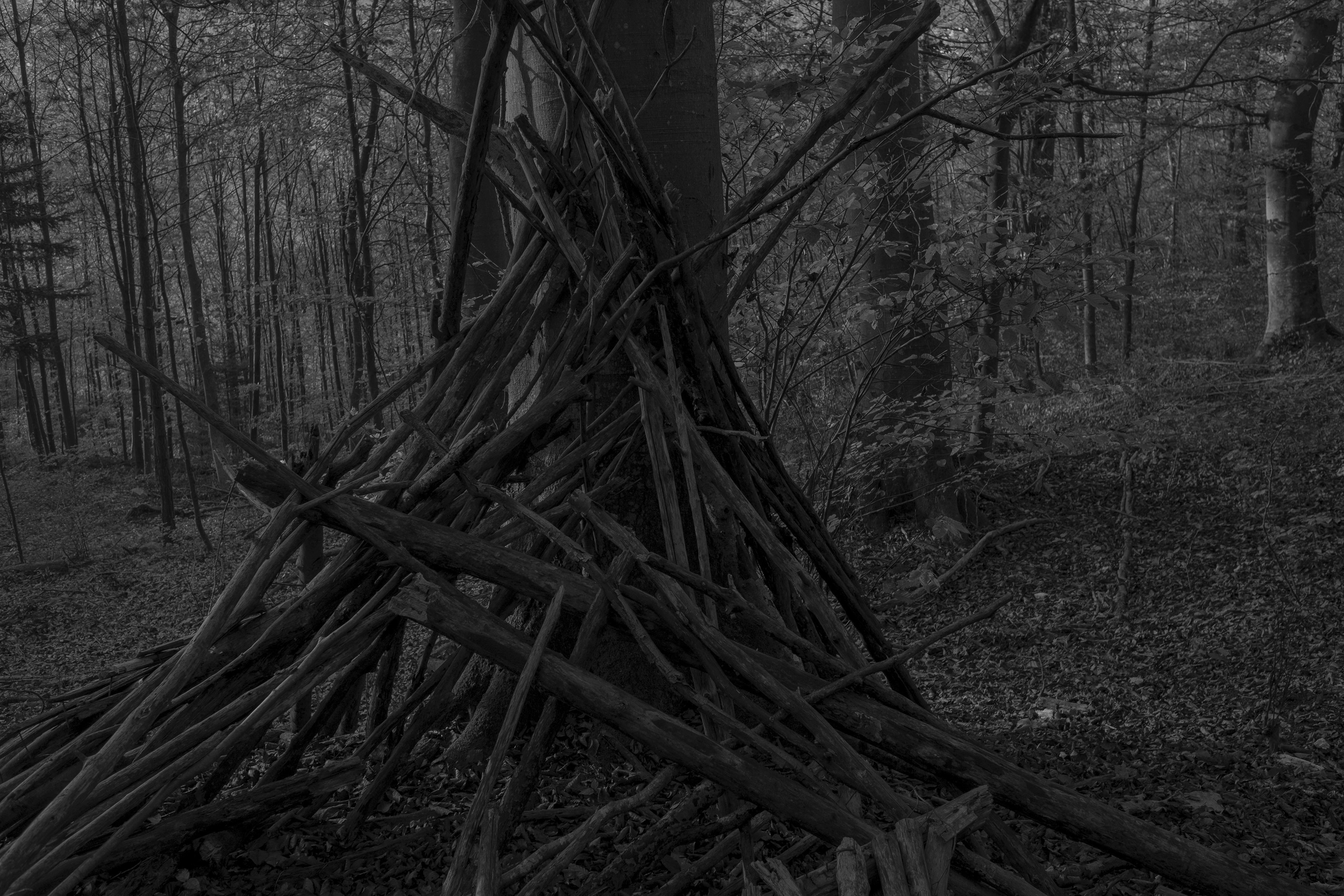 Brad Rimmer, Nocturne 31, archival digital print, 40 x 60cm, ed. 3