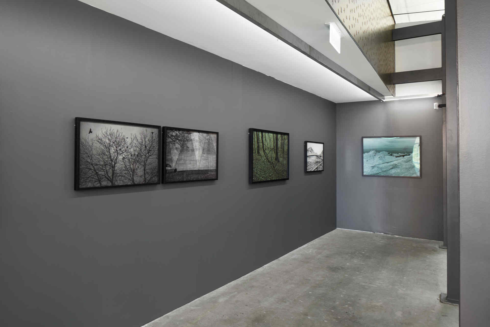 Brad Rimmer, Nocturne, September 2020, Cathedral Square (11). Acorn Photo