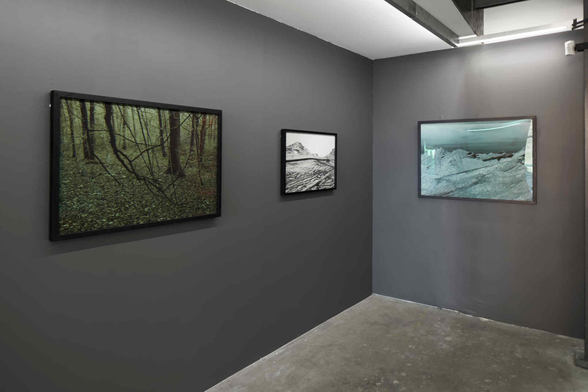 Brad Rimmer, Nocturne, September 2020, Cathedral Square (15). Acorn Photo