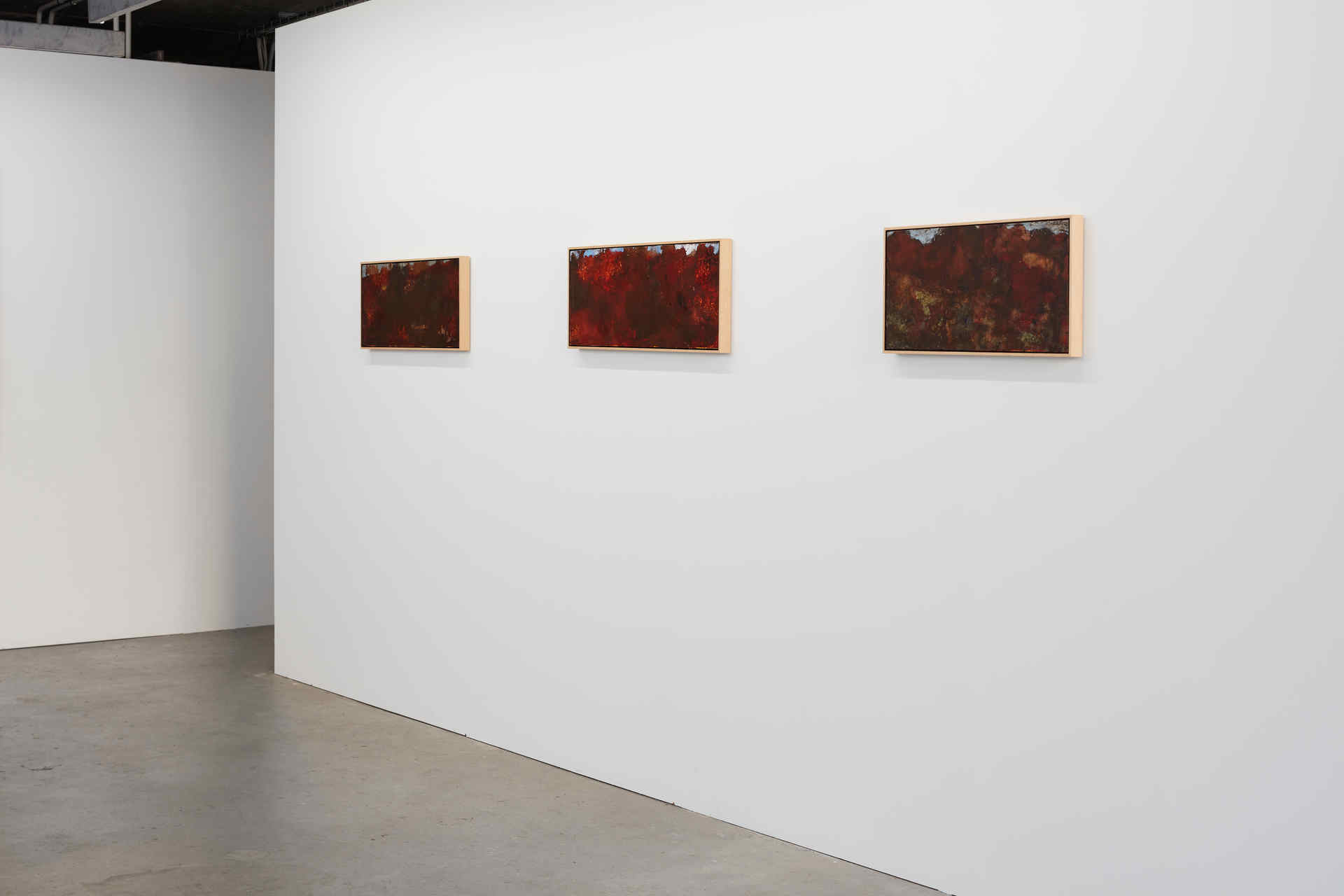 Merrick Belyea, Even in Arcadia There Am I, September 2020, Cathedral Square (2). Acorn Photo