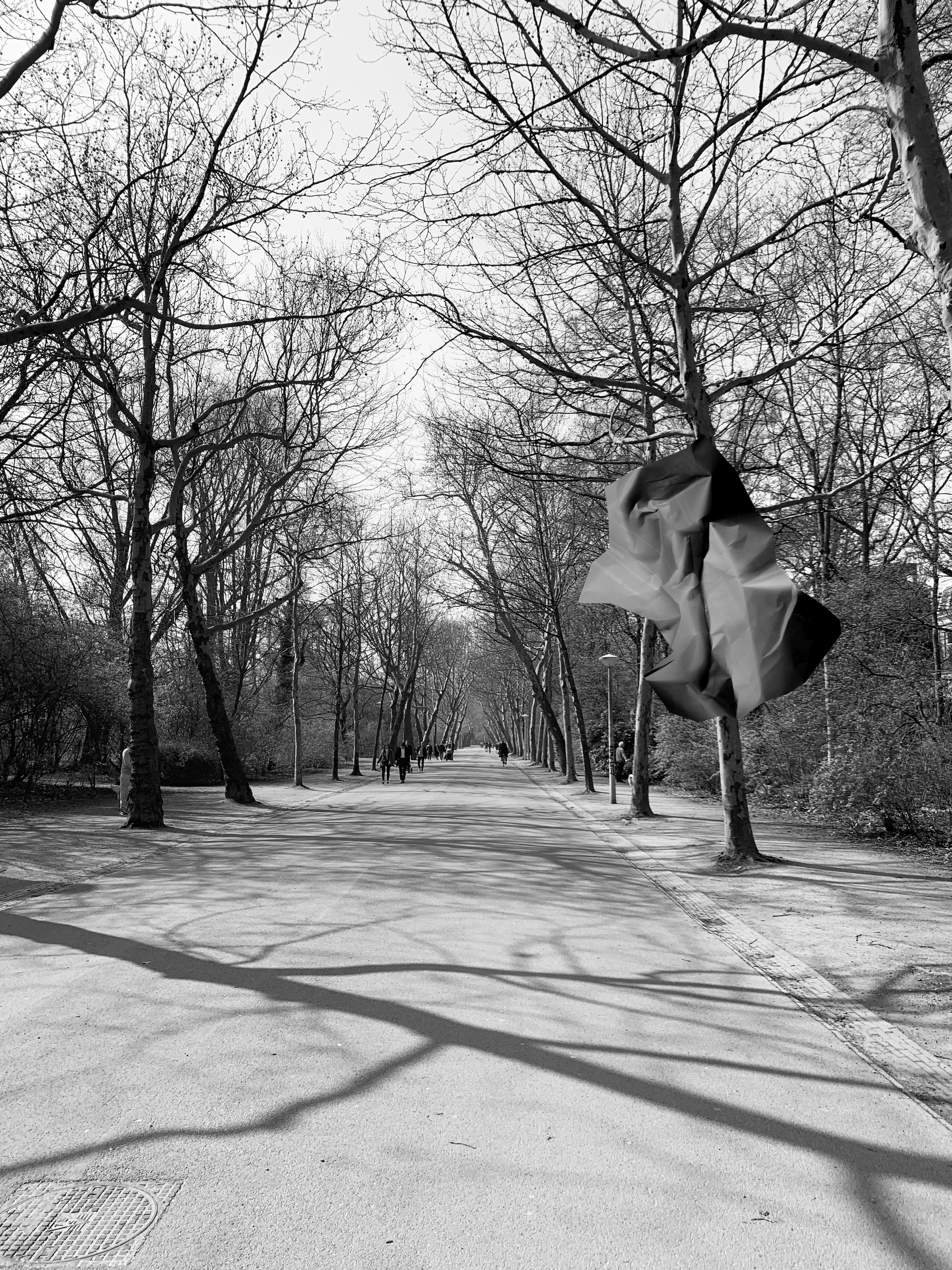 Jon Tarry, Catching the Moment (Creating Understanding in Twelve Moves) 2, 2019, archival digital print on Hahnemühle paper, 42 x 29cm, series of 12, ed. 7