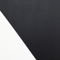 Trevor Richards, C13 (Ray), 2020, acrylic on canvas, 81 x 61cm
