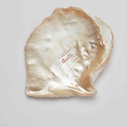 Olga Cironis, Pearl, 2019, engraved pearl shell, 18 x 20cm