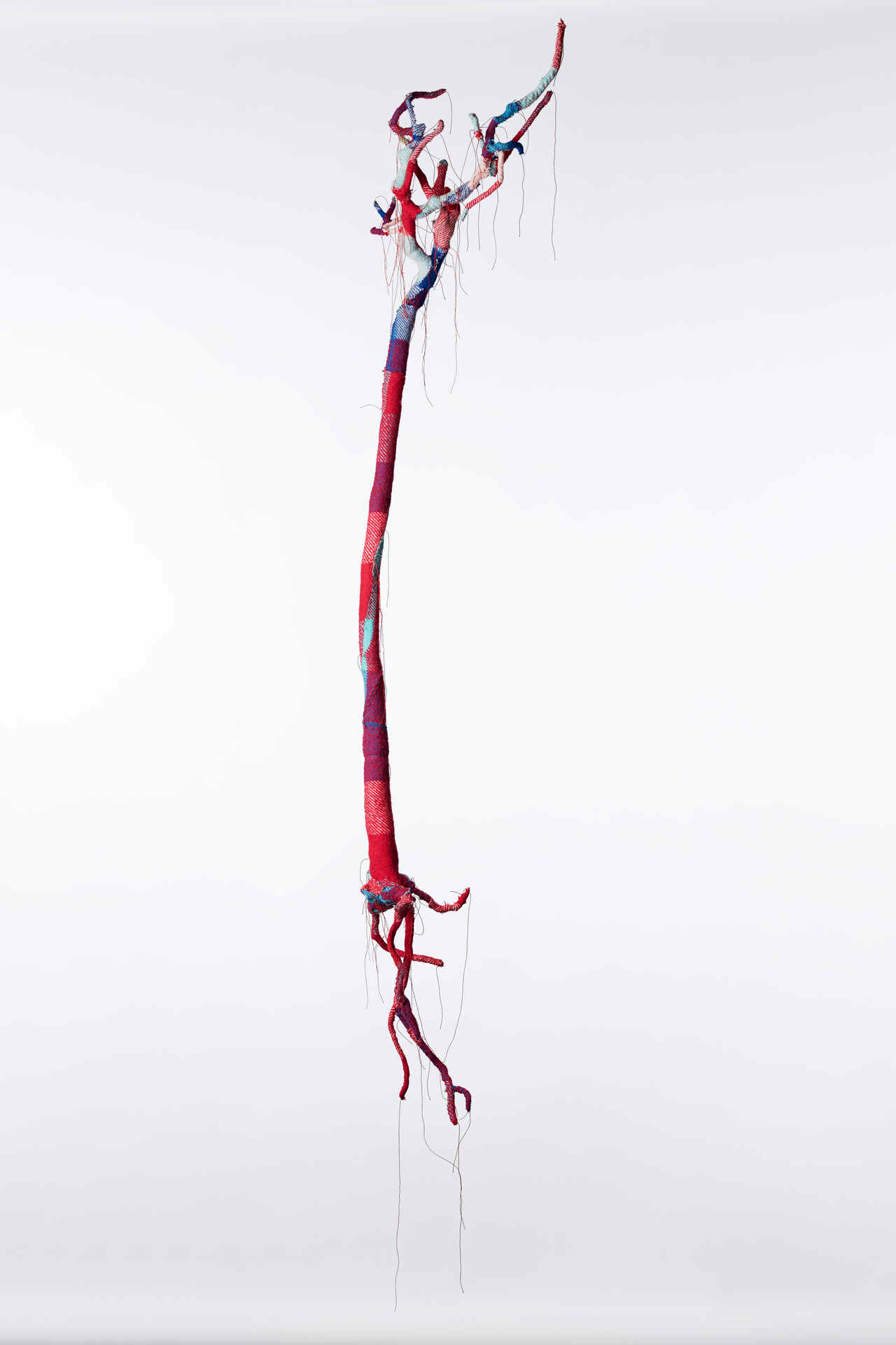 Olga Cironis, Roses are Red, Violets are Blue, I Truly Dearly Love You, 2018, rose bush, woollen blankets and thread, 170 x 50 x 50cm