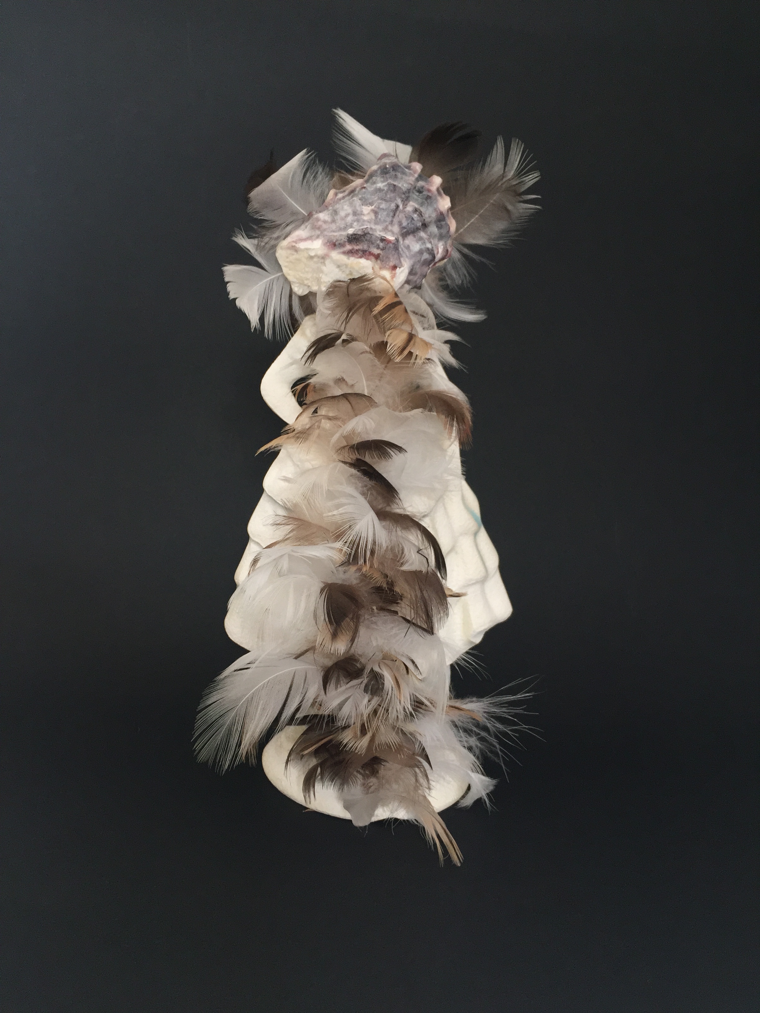 Olga Cironis, Lines that Define, repurposed porcelain ornament, shell and feathers