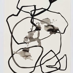 Vanessa Russ, Dimond Gorge Memory Water 5, 2020, Indian ink on Fabriano paper, 76 x 56cm