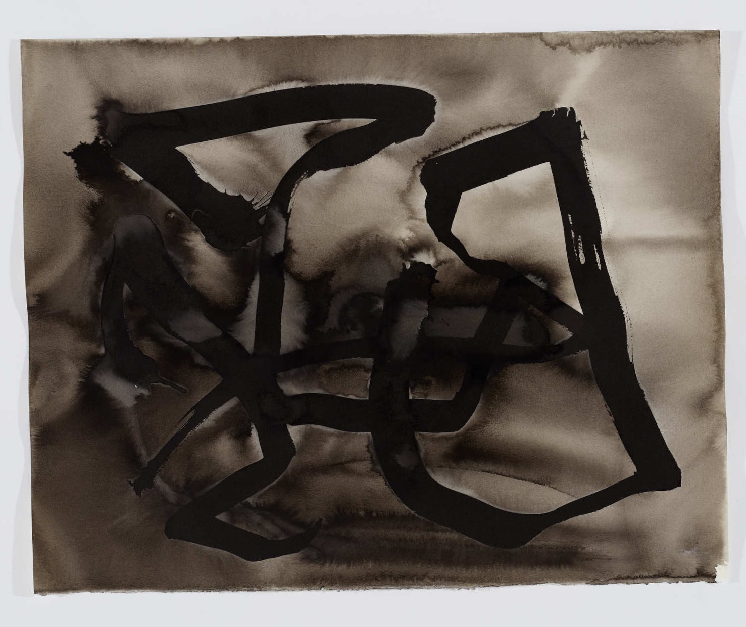 Vanessa Russ, Dimond Gorge Rising Water 1, 2020, Indian ink on Fabriano paper, 50.5 x 40cm