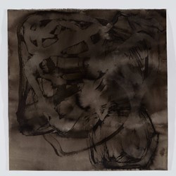 Vanessa Russ, Dimond Gorge Rising Water 4, 2020, Indian ink on Fabriano paper, 50 x 50cm