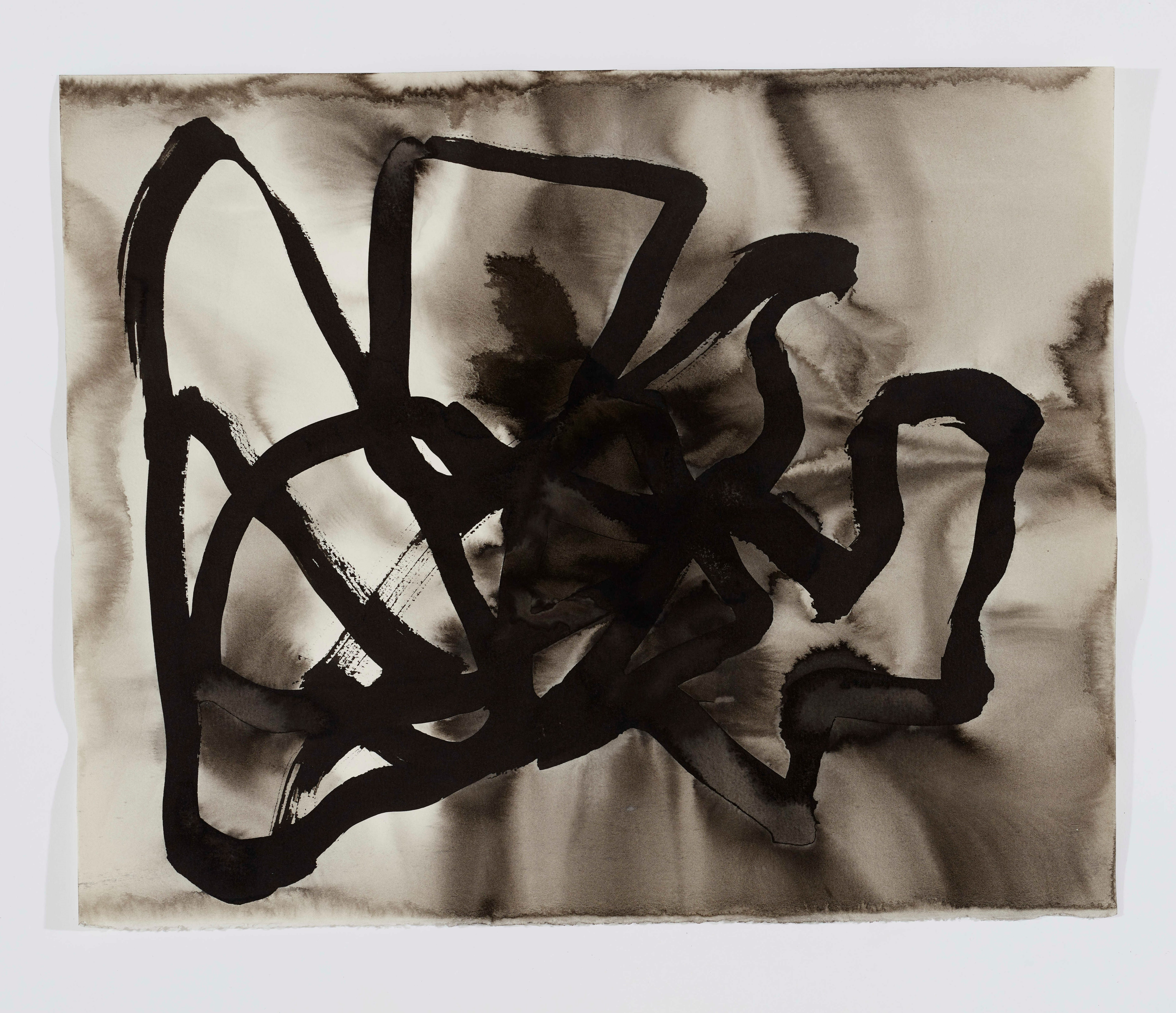 Vanessa Russ, Dimond Gorge Rising Water 8, 2020, Indian ink on Fabriano paper, 40 x 49cm