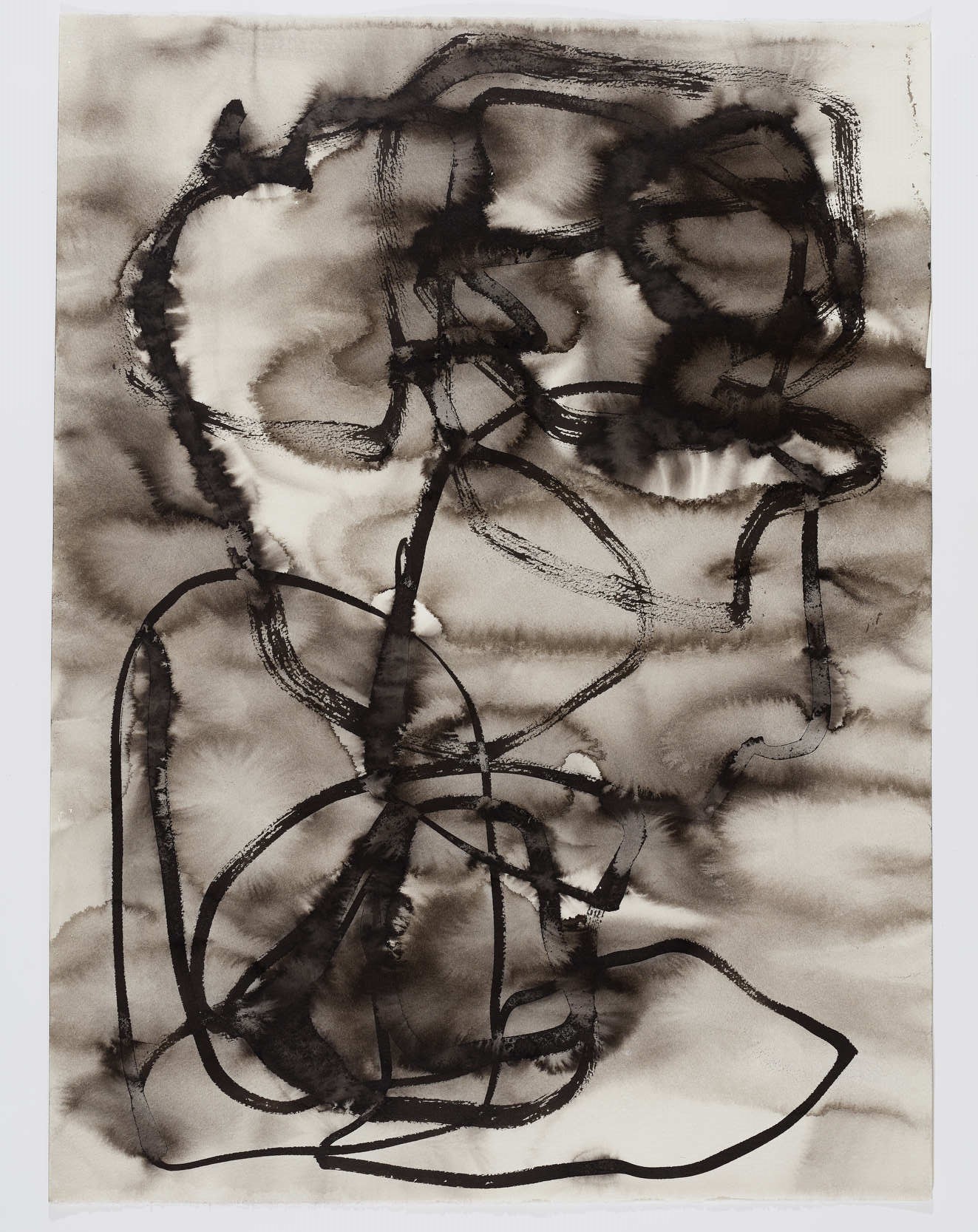 Vanessa Russ, Dimond Gorge Study 1, 2020, Indian ink on Fabriano paper, 76 x 56cm