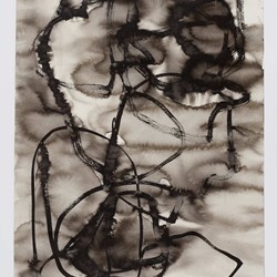Vanessa Russ, Dimond Gorge Study 1, 2020, Indian ink on Fabriano paper, 76 x 56cm