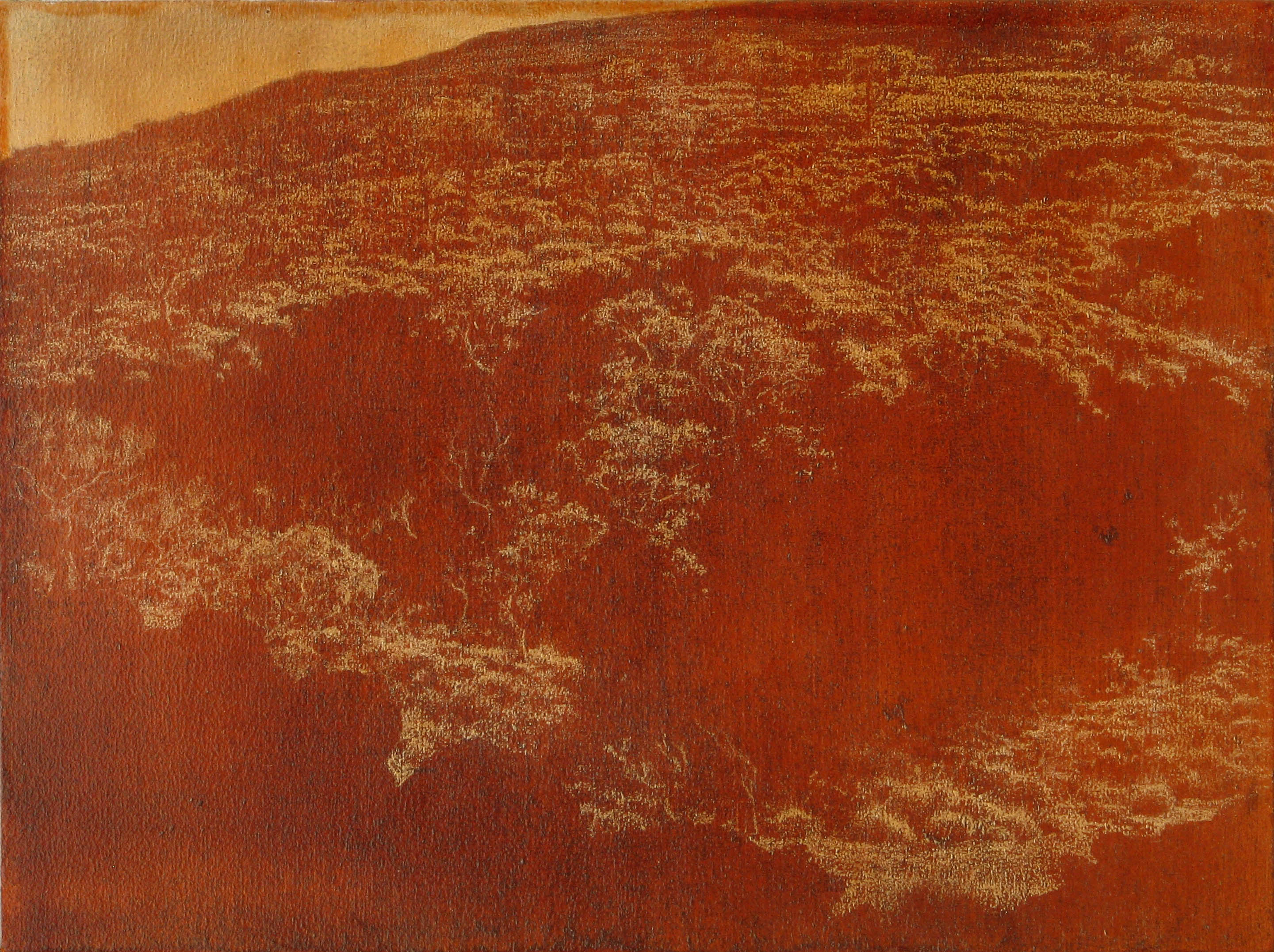 Tony Windberg, Golden State 11, 2021, pencil, earth pigments, pencil, marri resin on wood panel, 23 x 30cm