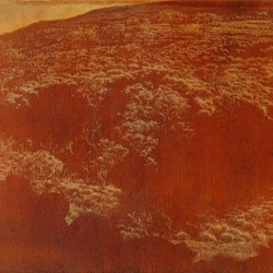 Tony Windberg, Golden State 11, 2021, pencil, earth pigments, pencil, marri resin on wood panel, 23 x 30cm