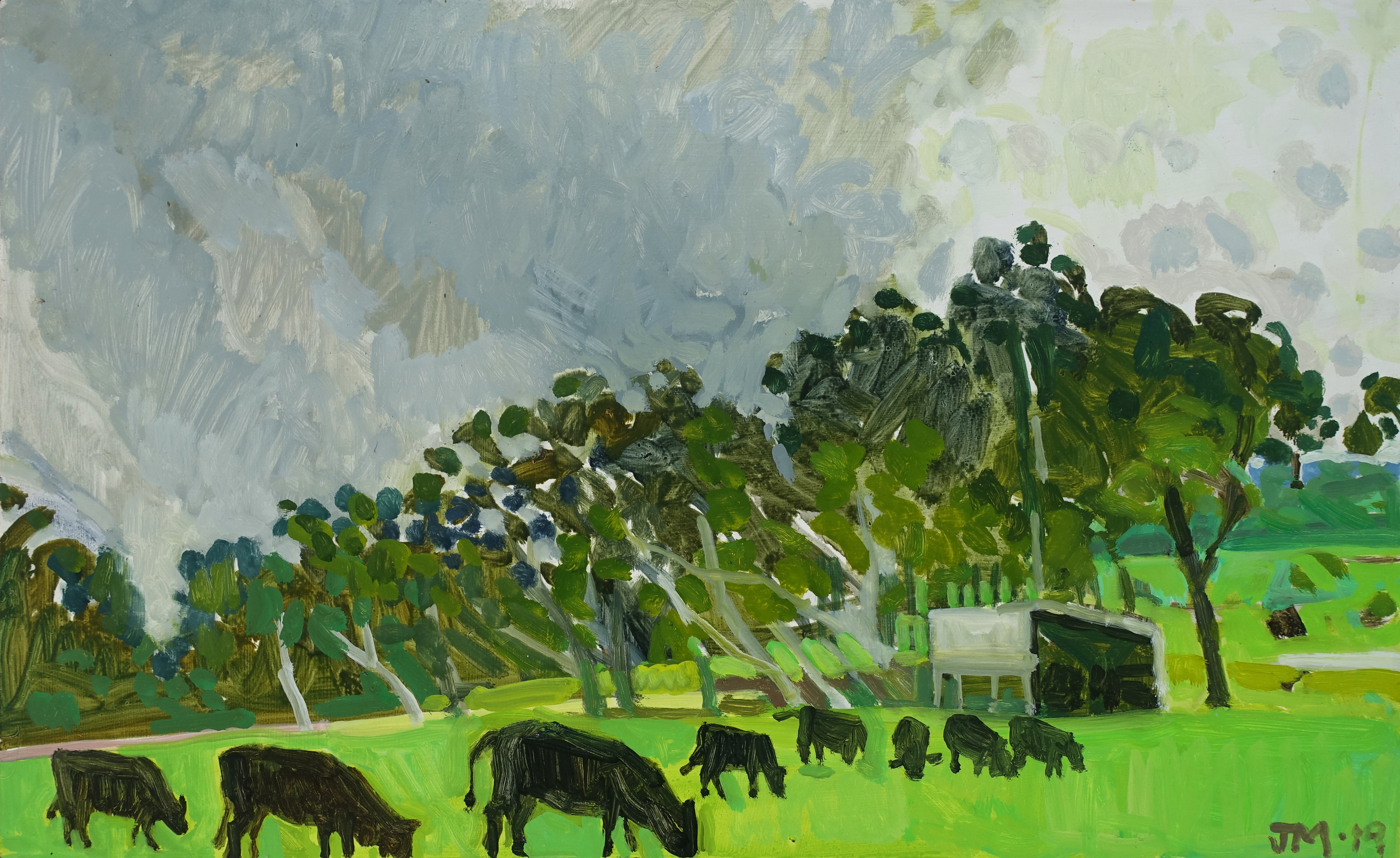 Jane Martin, Keysbrook V, 2019, oil on board, 37 x 60cm