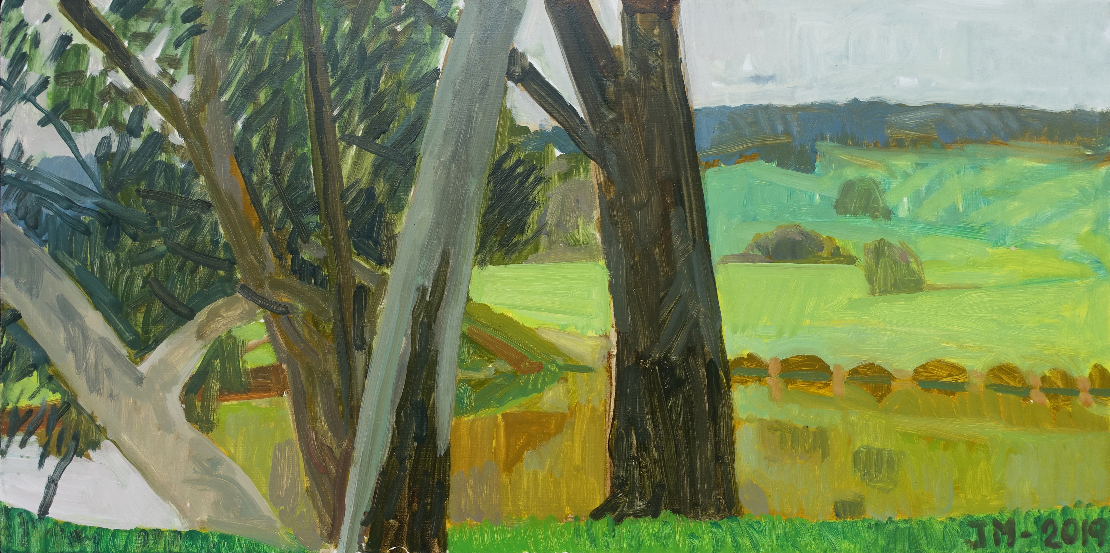 Jane Martin, Keysbrook VI, 2019, oil on board, 30 x 60cm