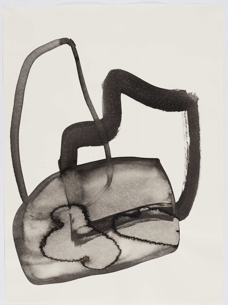 Vanessa Russ, Dimond Gorge Rock Forms 2, 2020, Indian ink on Fabriano paper, 76 x 56cm