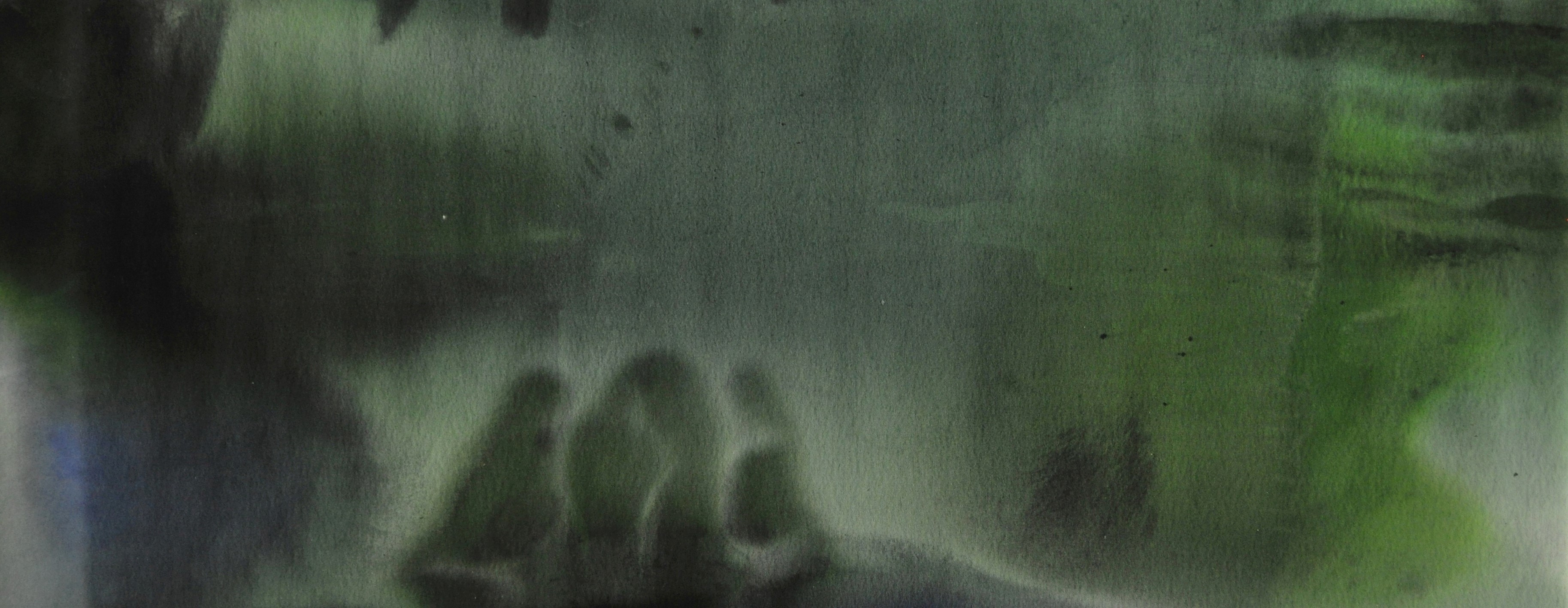 Penny Coss, Periphery/ies, 2013, acrylic on canvas, 46 x 137cm