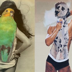 Alex Spremberg, Budgie and Dalmatian, 2020, paper collage on board, 29 x 42cm each