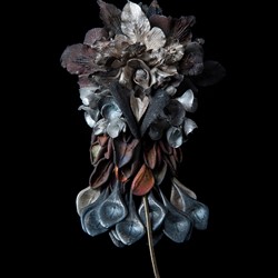 Sarah Elson, Fuck Cluster Brooch, 2021, gum leaves, banksia seed pod, orchid tongues, crown of thorns flowers, salt bush leaves