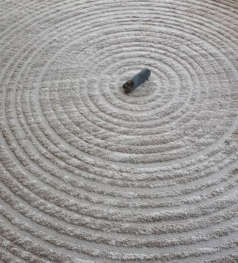 #inmybackyardaus @ron_nyisztor