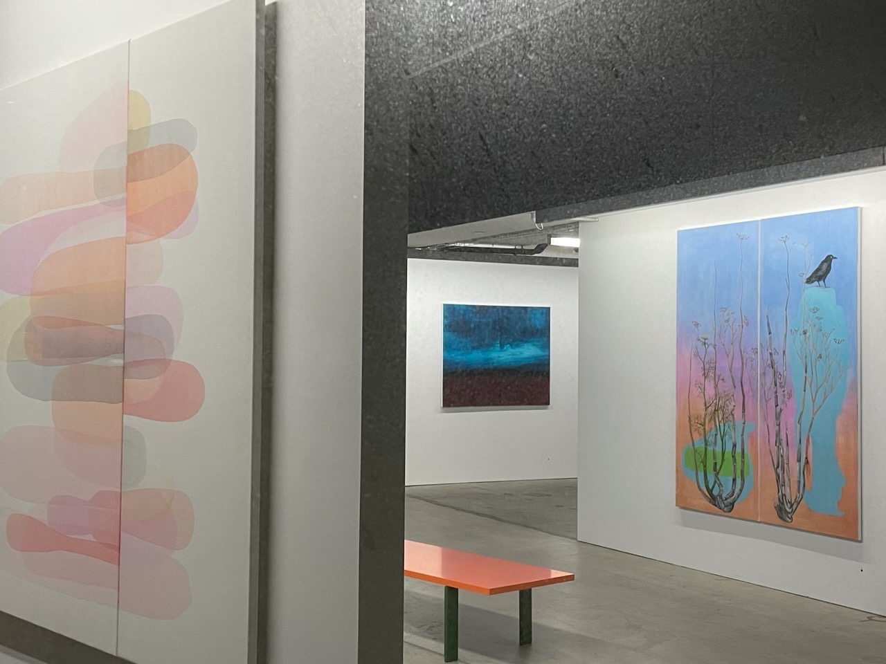 Jo Darbyshire, The Long Quiet, Art Collective WA, 2021, with Penny Coss. Photo Suzi Wild (8)