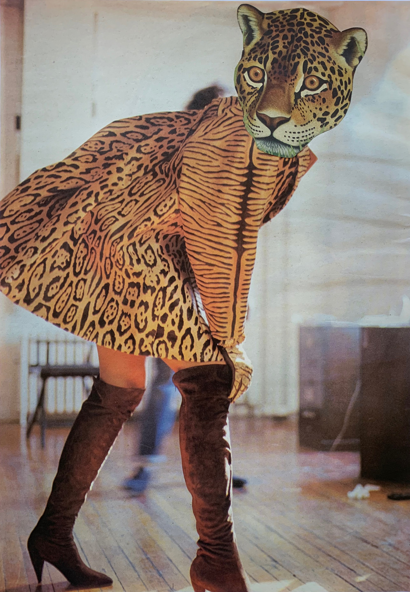 Alex Spremberg, Leopard's Turn, 2020, paper collage on board, 36 x 25cm