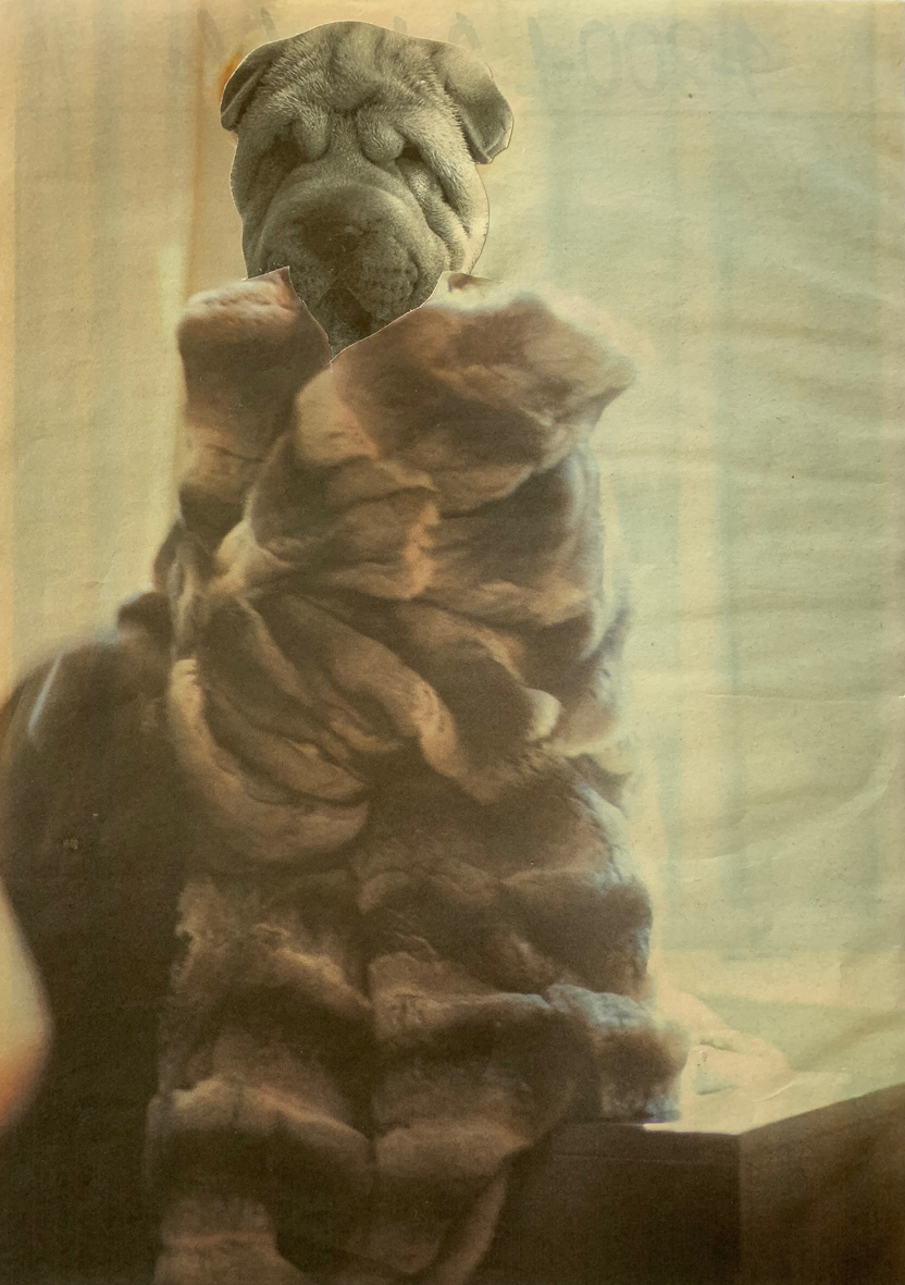 Alex Spremberg, Furry, paper collage on board, 35 x 25cm