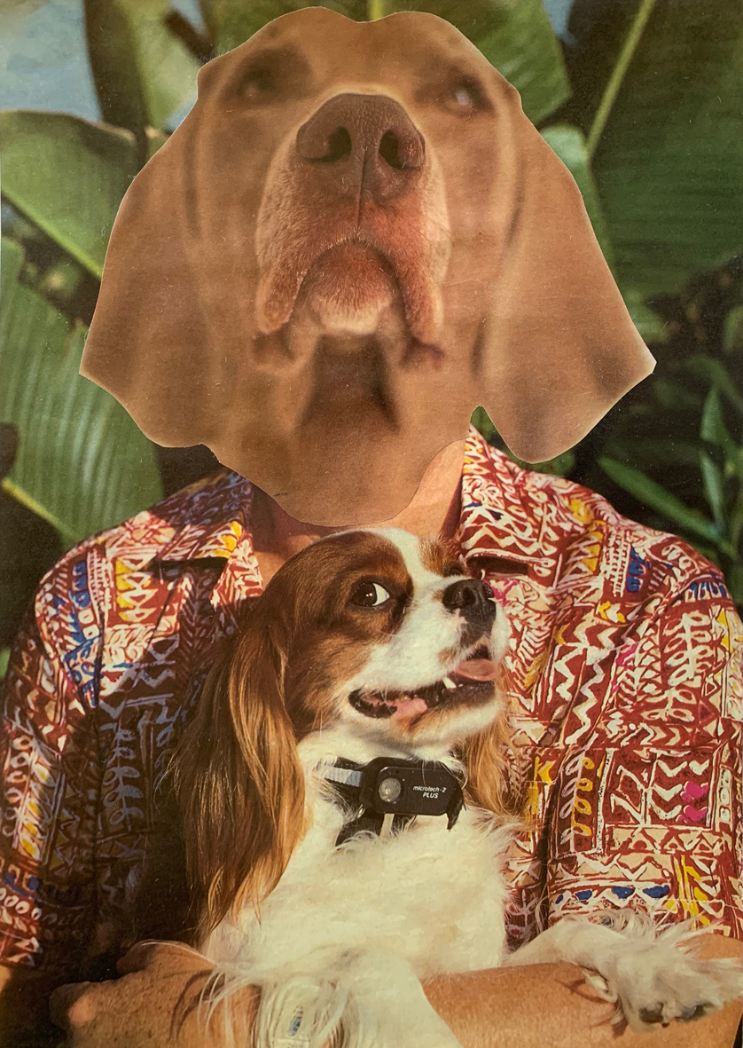 Alex Spremberg, Protection, paper collage on board, 35 x 25cm