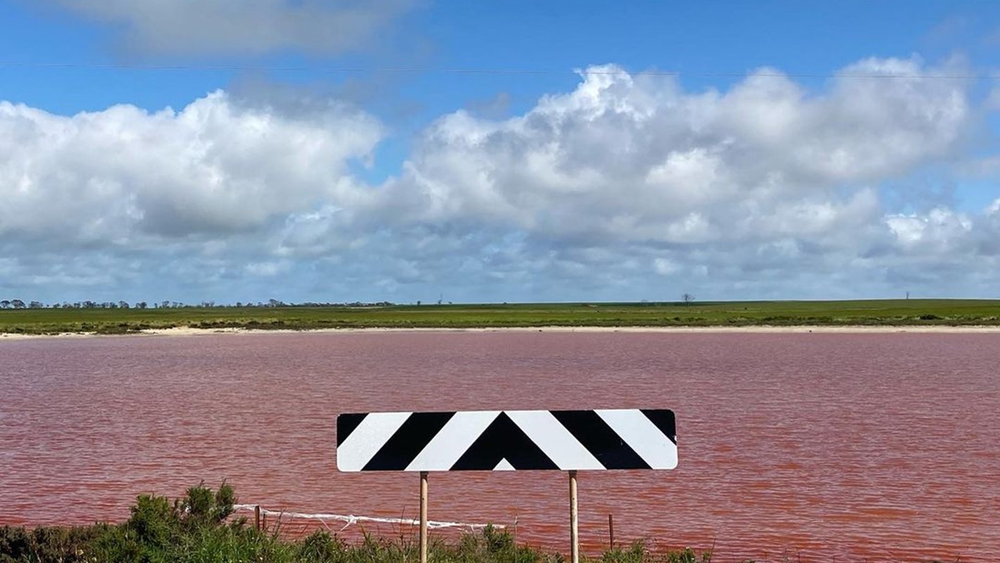 Jo Darbyshire, Pink Lake - 15kms out of Lake Grace, 2021