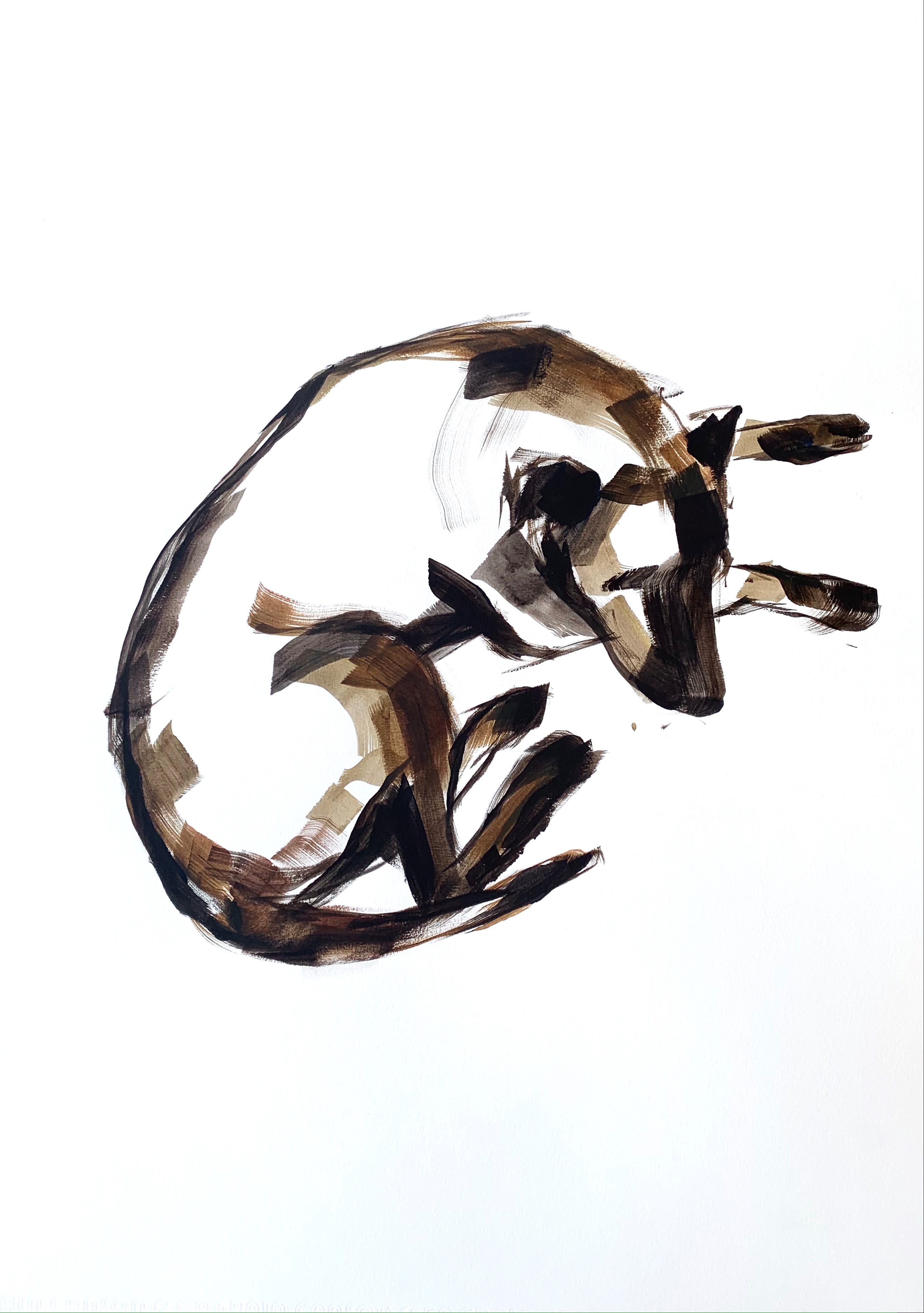 Mardi Crocker, Tilly Sleeping II, 2021, acrylic on Canson paper, 75 x 59cm