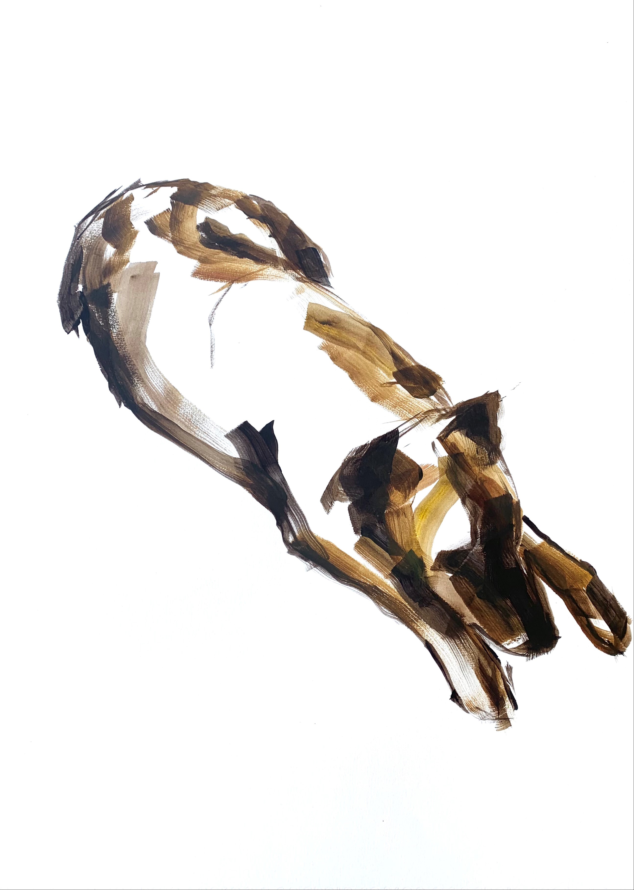 Mardi Crocker, Tilly Sleeping I, 2021, acrylic on Canson paper, 75 x 59cm