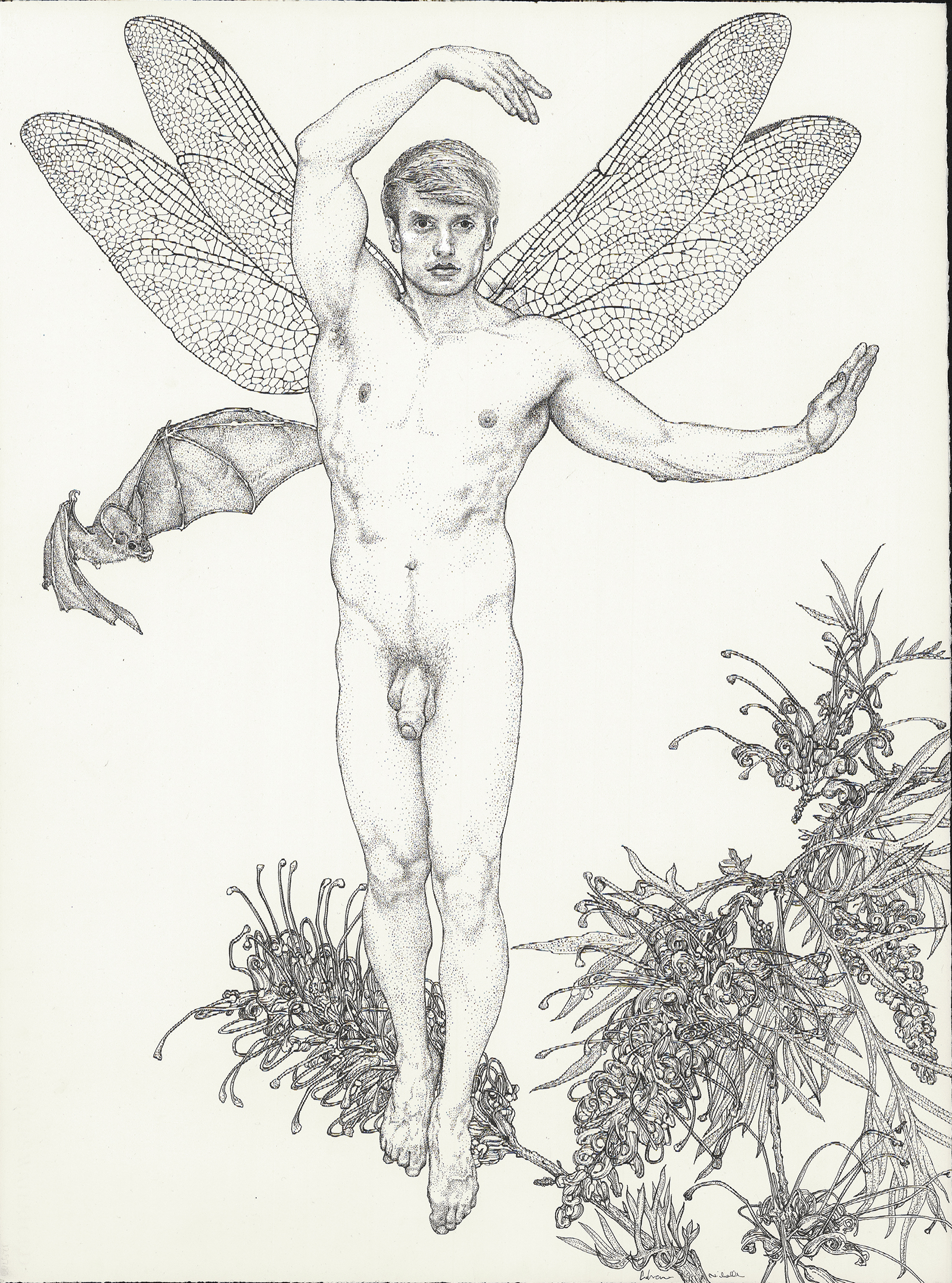 Andrew Nicholls, Gentry 1, 2021, archival pens and white ink on watercolour paper, 76 x 56cm