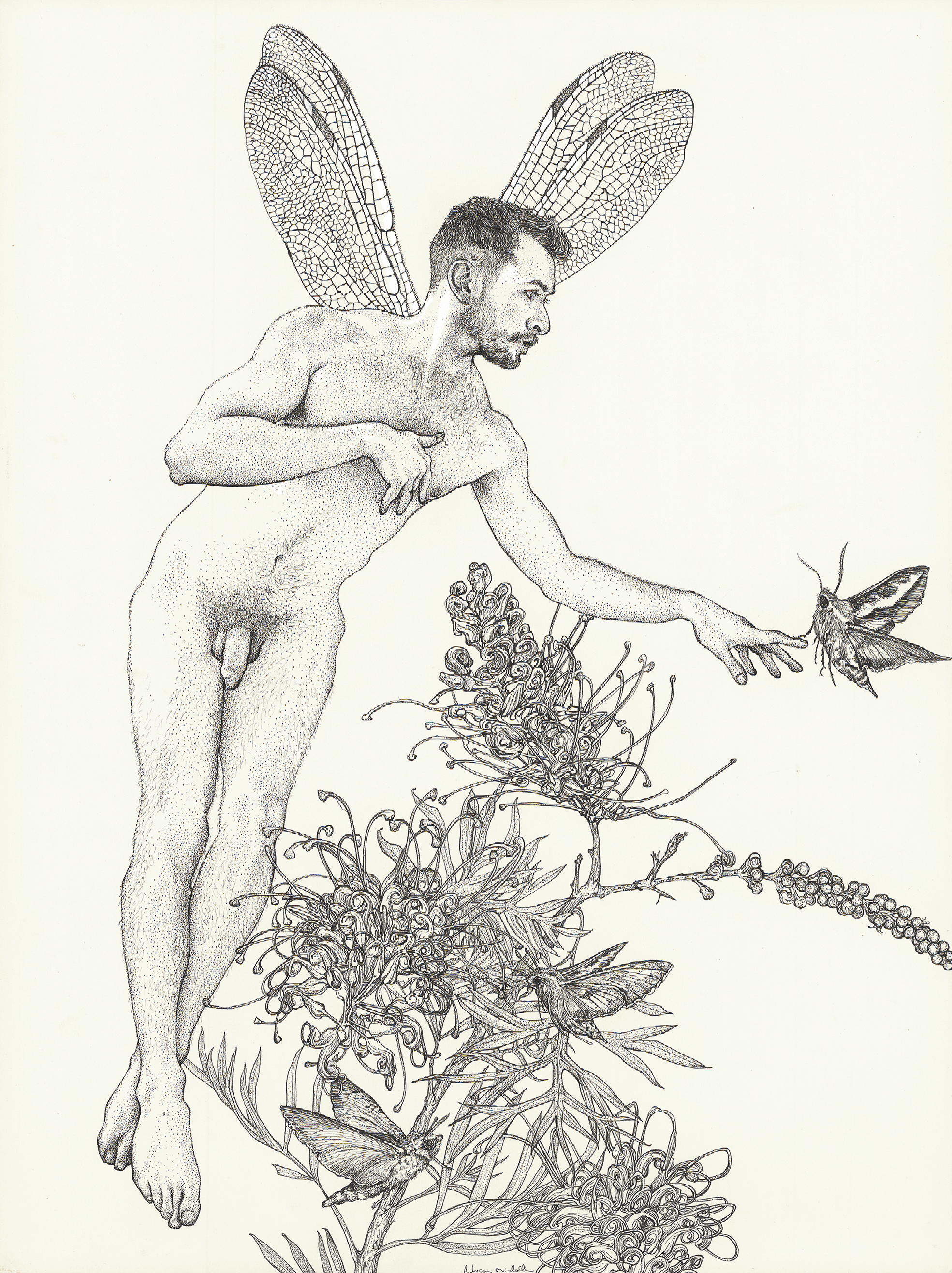 Andrew Nicholls, Gentry 2, 2021, archival pens and white ink on watercolour paper, 76 x 56cm