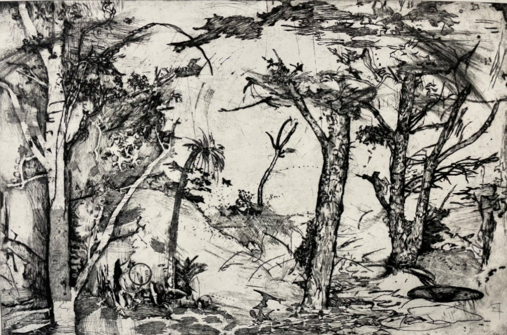 Antony Muia, Grass Tree, 2021, drypoint on paper, 60 x 90cm, ed. 6