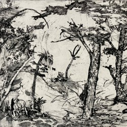 Antony Muia, Grass Tree, 2021, drypoint on paper, 60 x 90cm, ed. 6