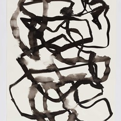 Vanessa Russ, Dimond Gorge Study 6, 2020, Indian ink on Fabriano paper, 76 x 56cm