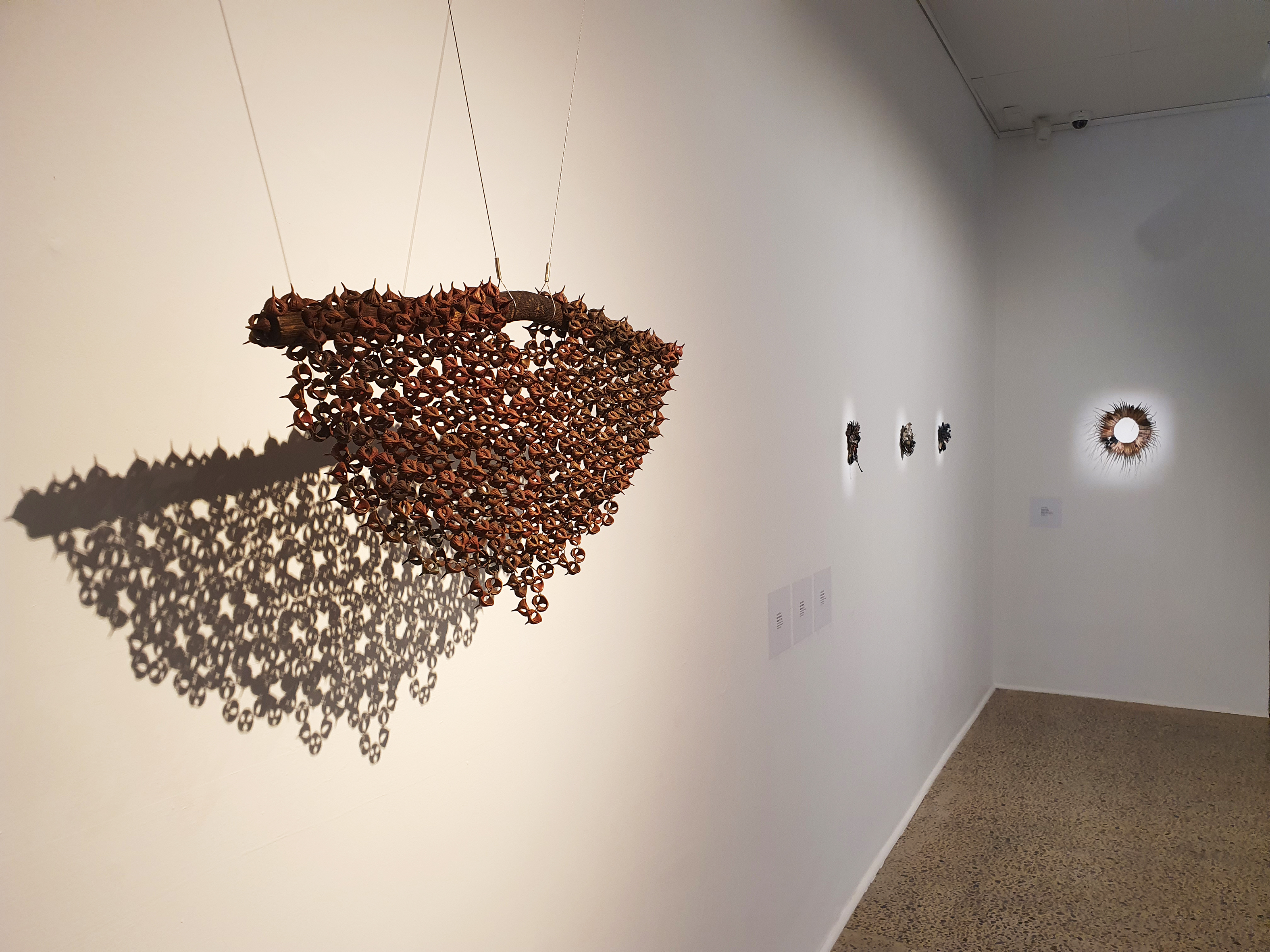 Stratigraphy, 2022, Geraldton Regional Art Gallery. Brad Rimmer, Susan Roux, Sarah Elson, Merrick Belyea. Installation view by Brad Rimmer (4)