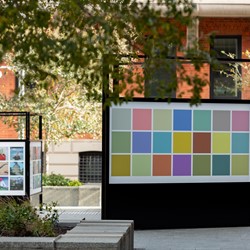 Alex Spremberg, ReCover, Urban Art Gallery at Cathedral Square, 2022 (12)