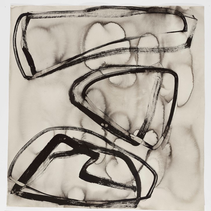 Vanessa Russ, Dimond Gorge Flood 2, 2021, Indian ink on Fabriano paper, 89.2 x 85cm
