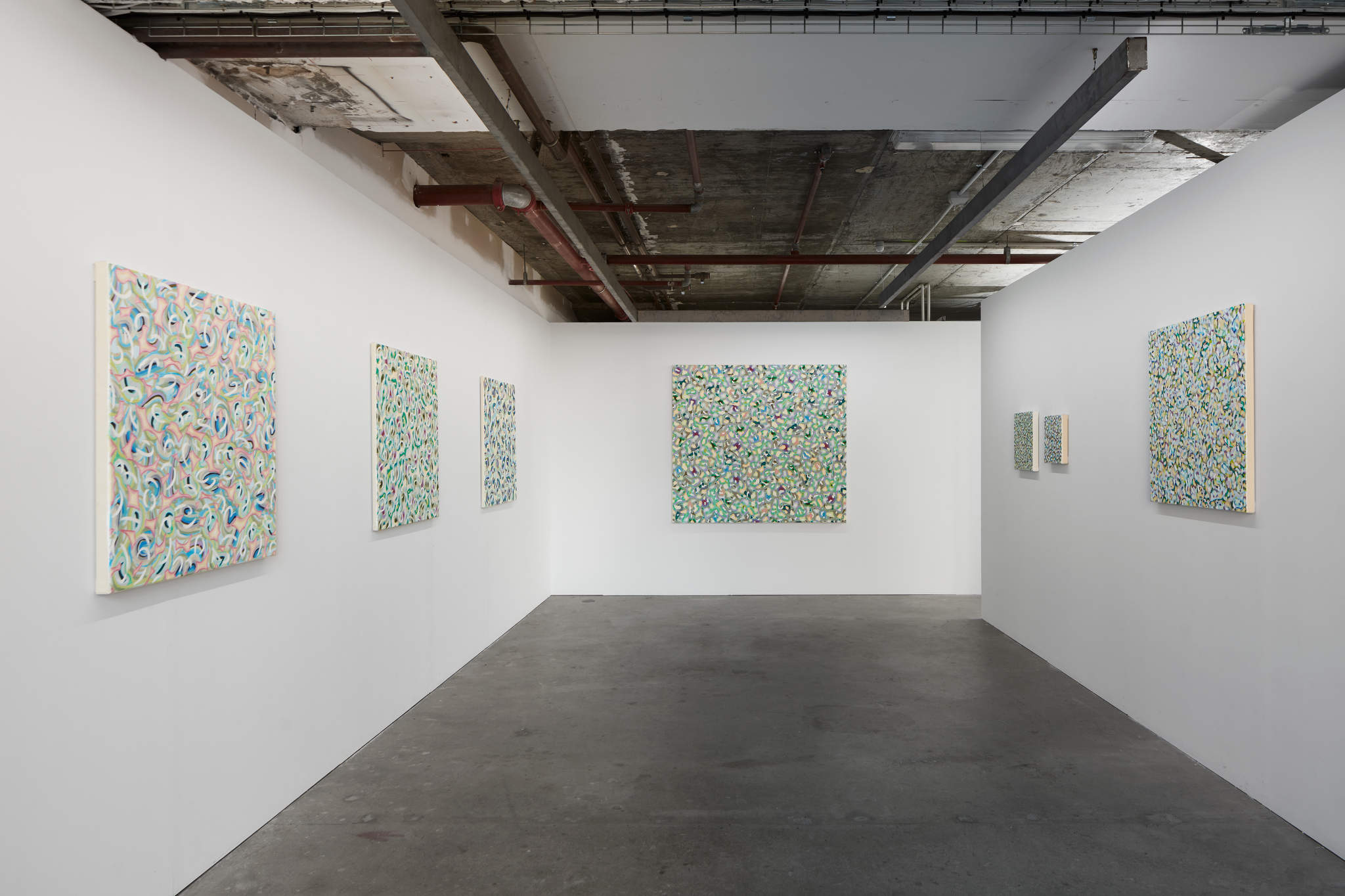 Cathy Blanchflower, Paintings 2021-22, installation view. Acorn Photo  (1)