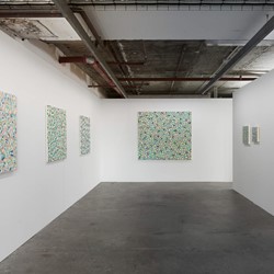 Cathy Blanchflower, Paintings 2021-22, installation view. Acorn Photo  (1)