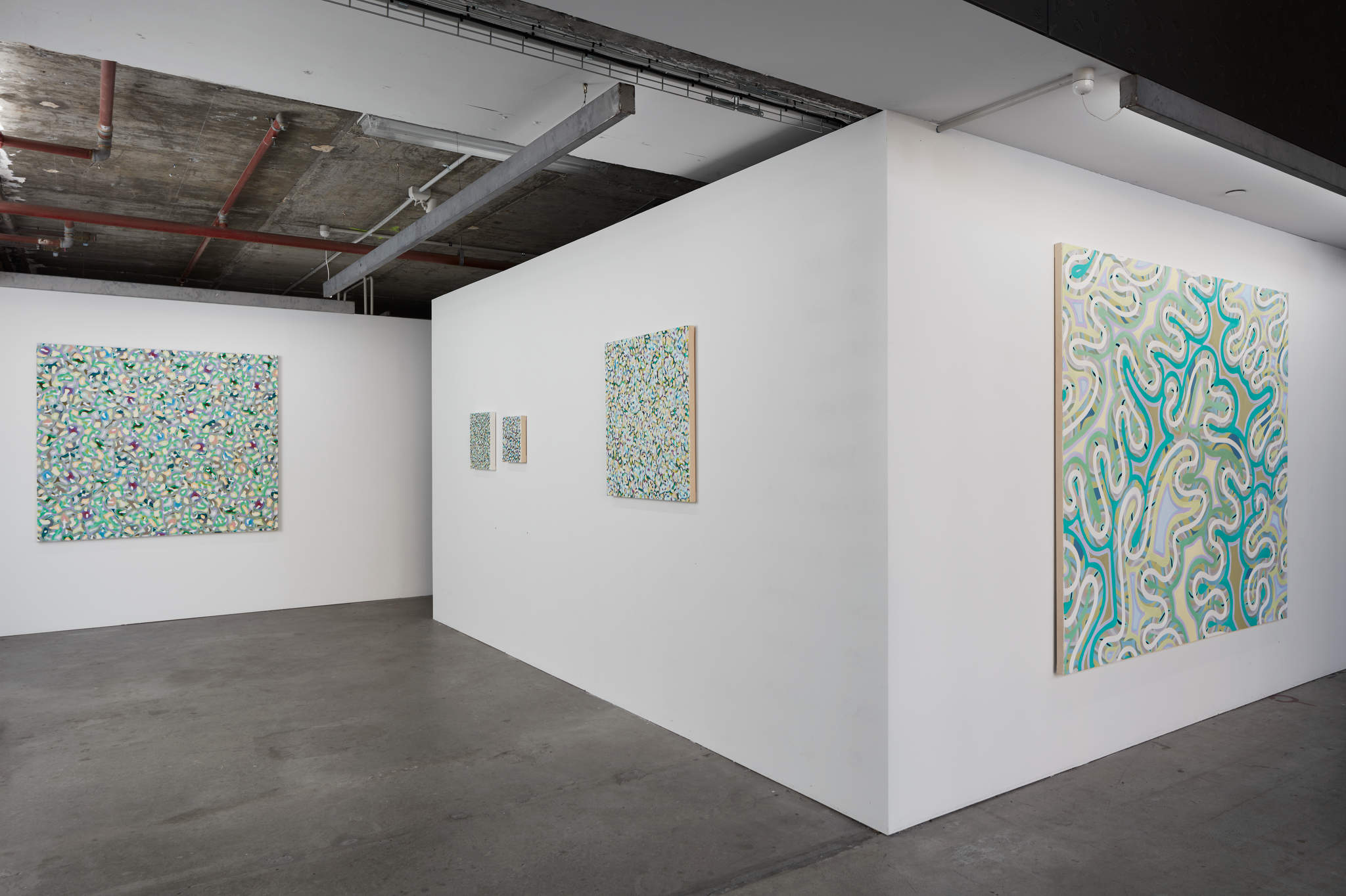 Cathy Blanchflower, Paintings 2021-22, installation view. Acorn Photo  (2)