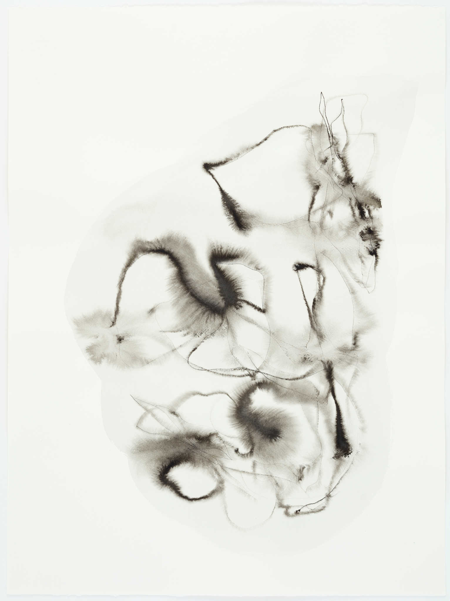 Vanessa Russ, Unseasonable Waterhole with Lilies 6, 2022, Indian ink on Fabriano paper, 56 x 76cm