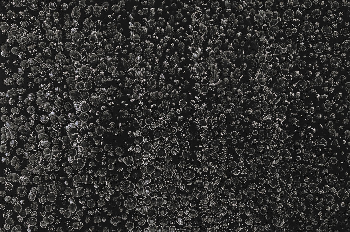 Alex Spremberg, Drop White, 2005, enamel on wood, 120 x 180 x 3cm