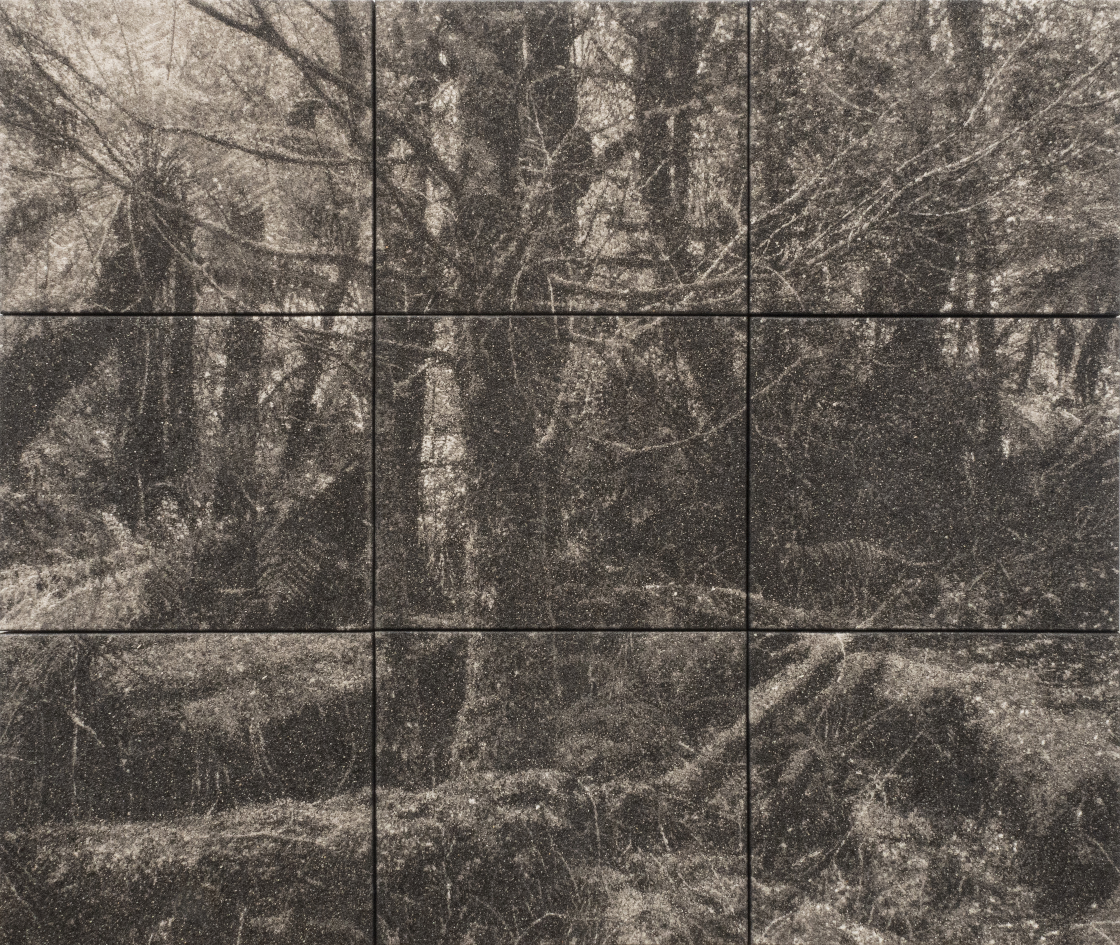 Nigel Hewitt, Growling Swallet, 2022, ash and polymer on timber ply, 156 x 132cm