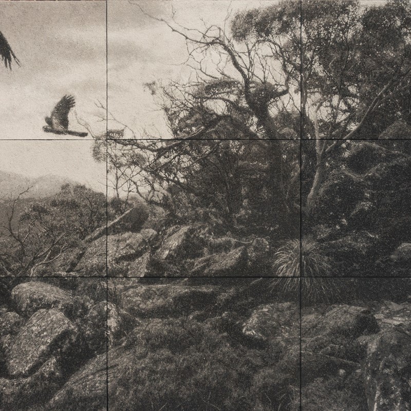 The Call, 2022, ash and polymer on board, 150 x 210cm